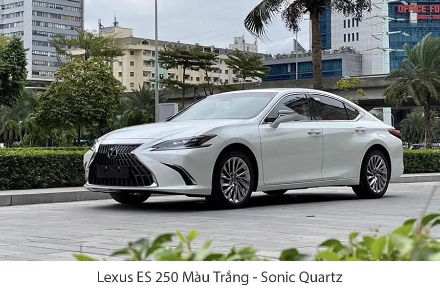 lexus es250 trang bv 18 rhcstd5